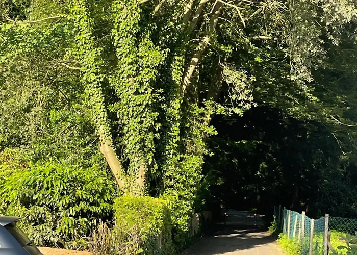 Appartamento Zum Em Stadion Zu Fuss - Luxus Im Gruenen Colonia